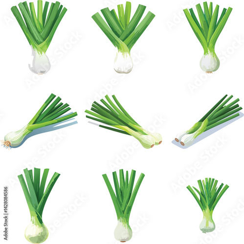 Green Spring Onion fresh and healthy vegetable
