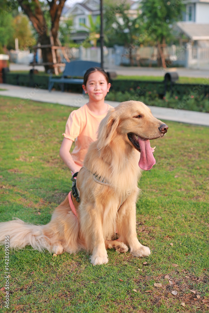 Portrait of Golden retriever and Asian girl lying on the grass in the garden. Focus at pet.
