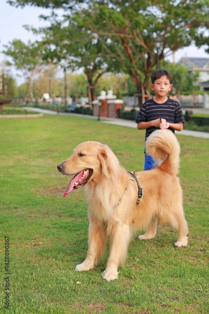 Portrait of Golden retriever and Asian boy standing on lawn in the garden. Focus at dog.