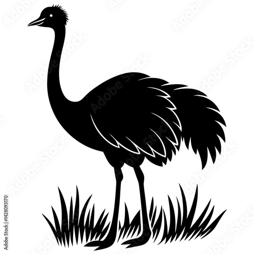Ostrich silhouette standing in the grass