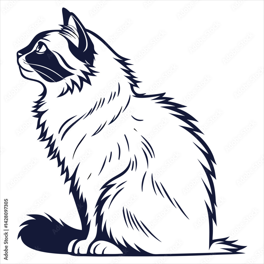 Obraz premium silhouette ragdoll cat on white background