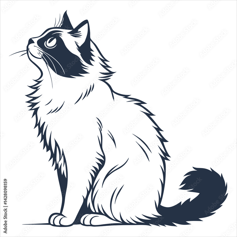 Obraz premium silhouette ragdoll cat on white background