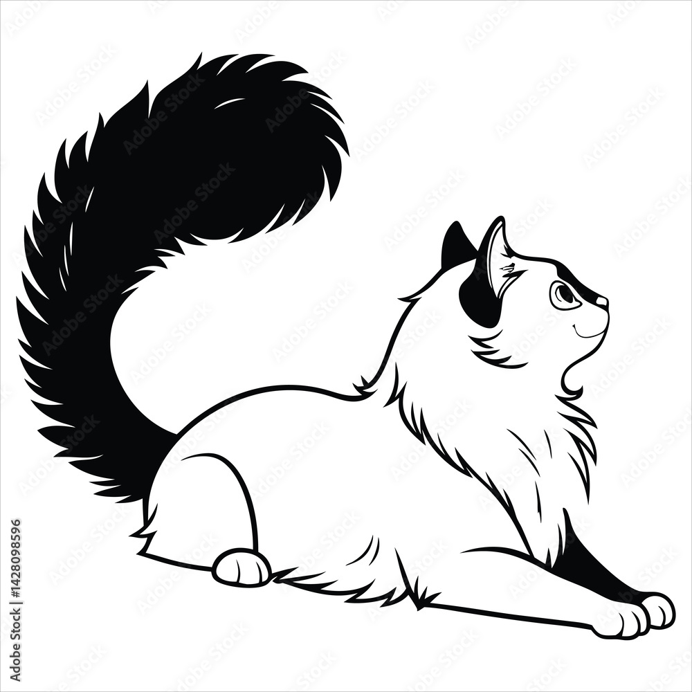 Obraz premium silhouette ragdoll cat on white background