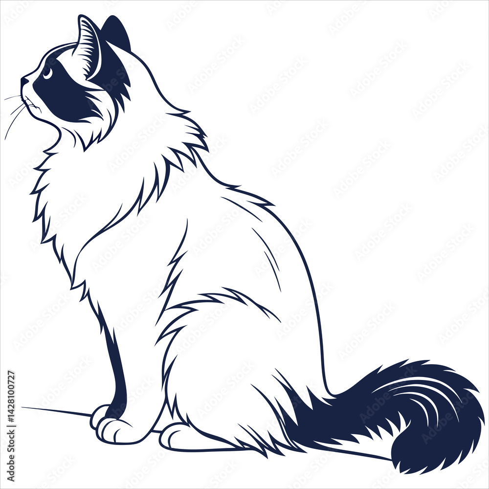 Obraz premium silhouette ragdoll cat on white background
