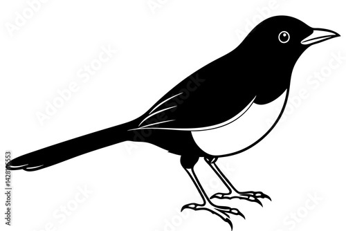 blackbird silhouette line art vector illustration with a white background