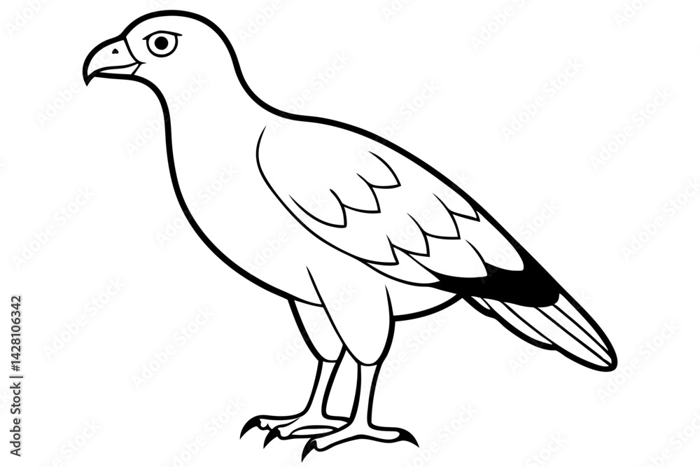 Fototapeta premium buzzard silhouette line art vector illustration with a white background