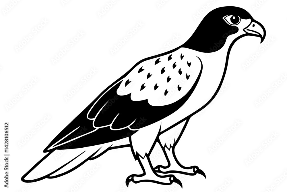 Fototapeta premium buzzard silhouette line art vector illustration with a white background