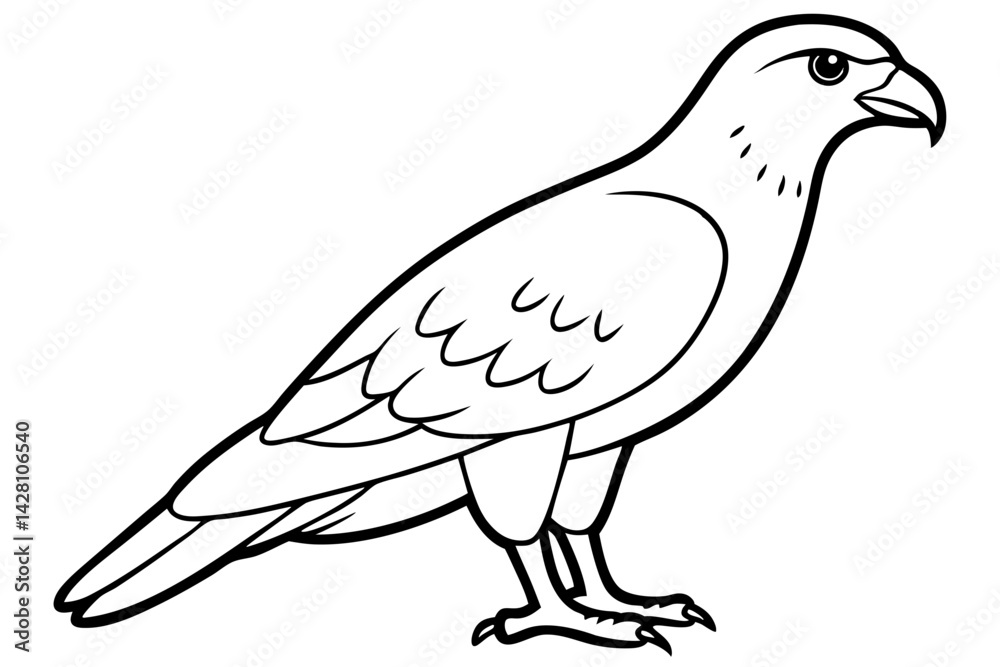 Fototapeta premium buzzard silhouette line art vector illustration with a white background