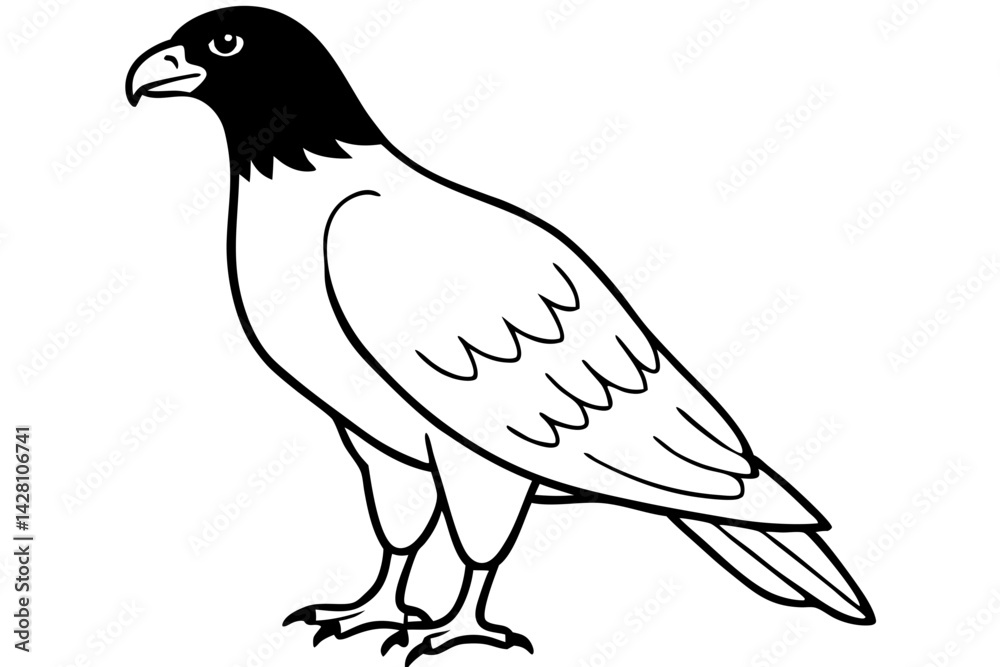Fototapeta premium buzzard silhouette line art vector illustration with a white background