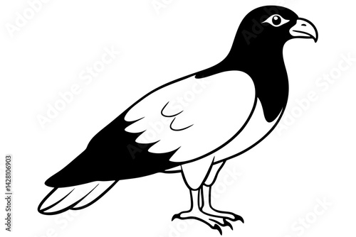 buzzard silhouette line art vector illustration with a white background