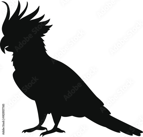 cockatoo bird silhouette illustration
