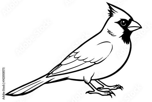 cardinal silhouette line art vector illustration with a white background