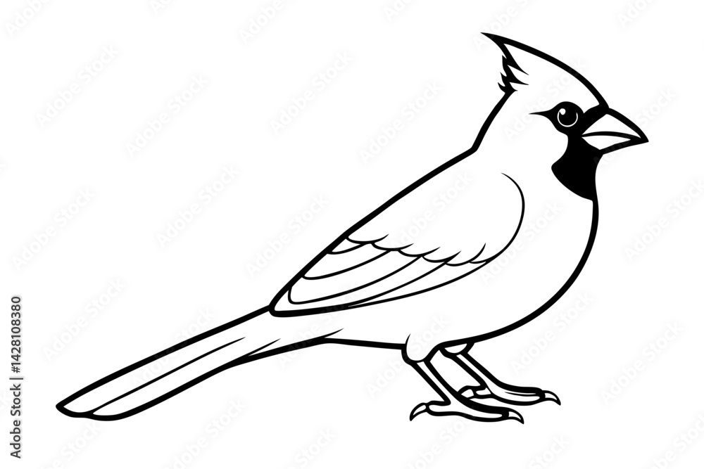 Fototapeta premium cardinal silhouette line art vector illustration with a white background