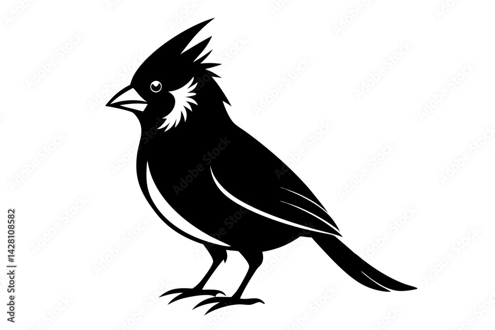 Obraz premium cardinal silhouette line art vector illustration with a white background