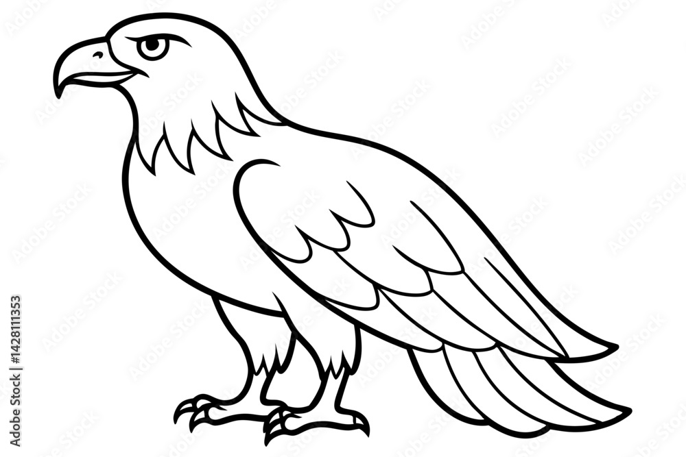 Obraz premium eagle silhouette line art vector illustration with a white background