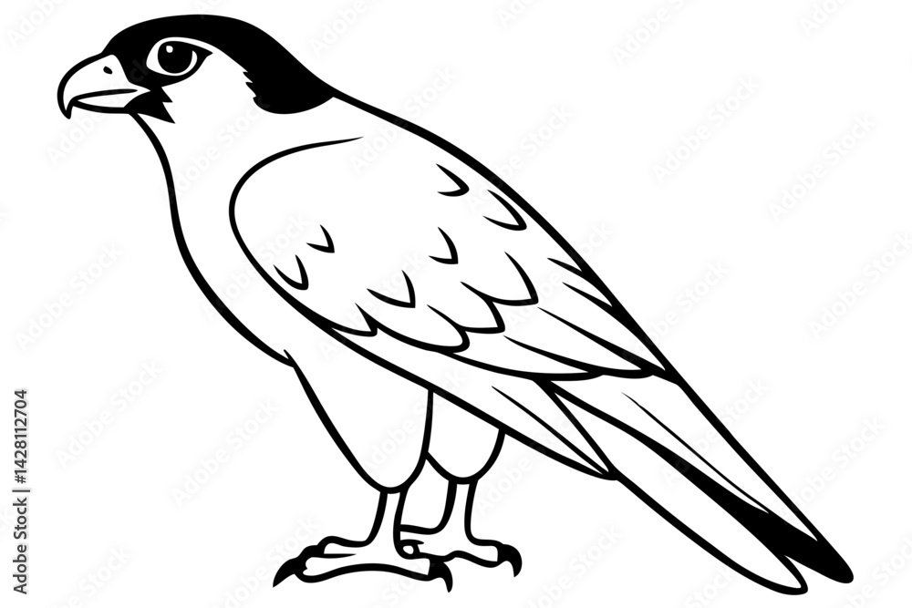 Fototapeta premium falcon silhouette line art vector illustration with a white background