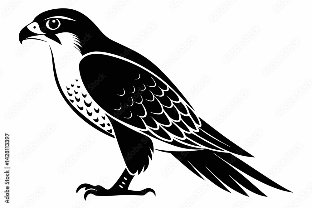 Fototapeta premium falcon silhouette line art vector illustration with a white background