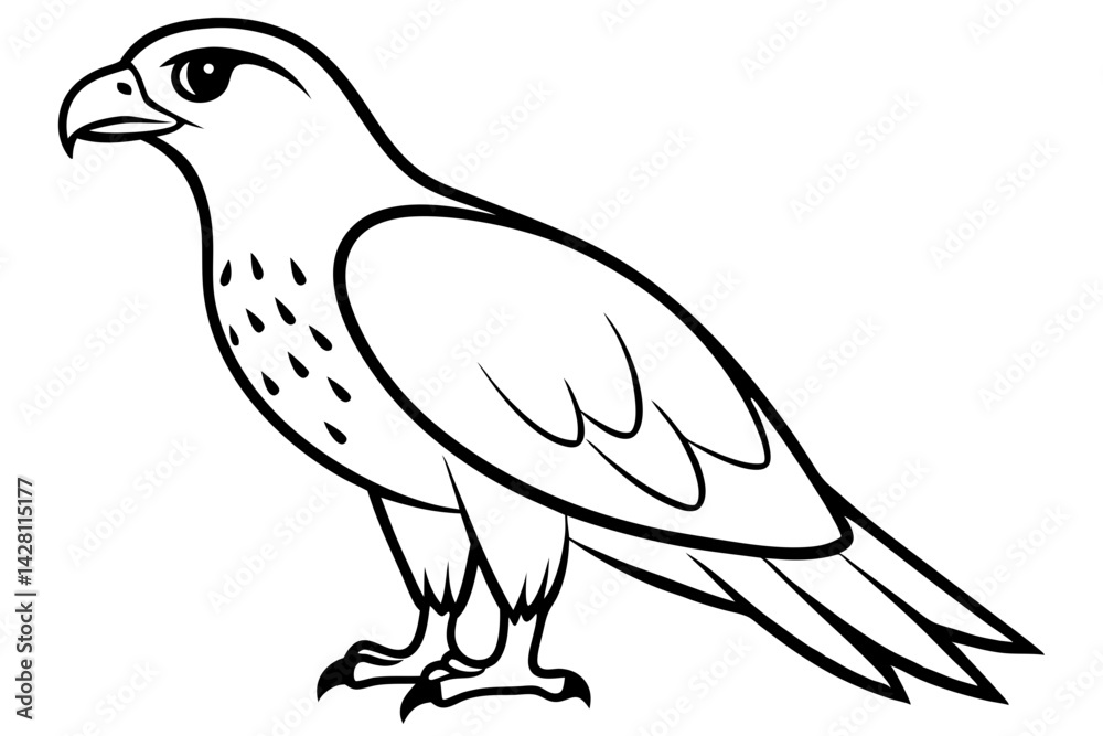 hawk silhouette line art vector illustration with a white background hawk silhouette line art vector illustration with a white background