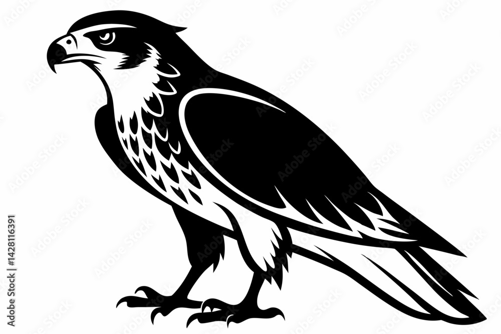 Obraz premium hawk silhouette line art vector illustration with a white background