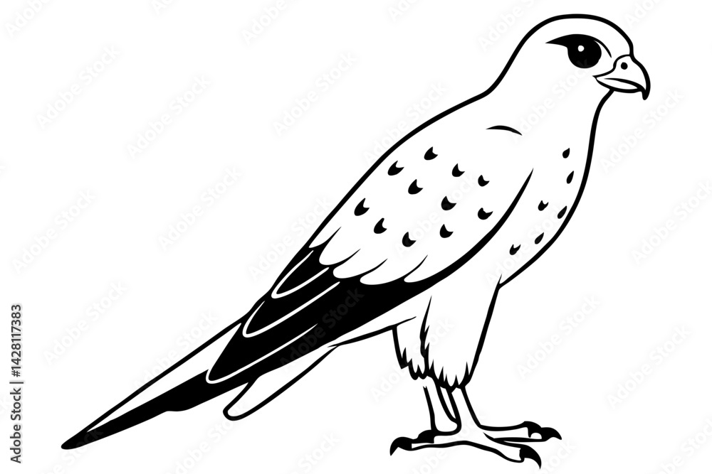 Fototapeta premium kestrel silhouette line art vector illustration with a white background