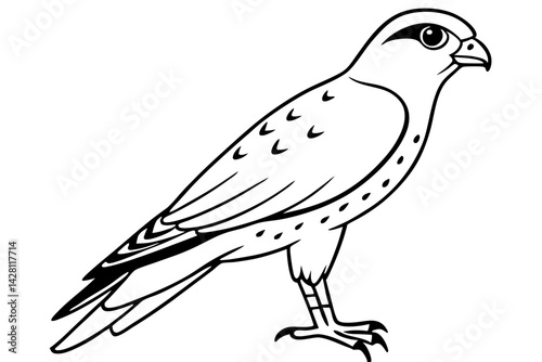 kestrel silhouette line art vector illustration with a white background