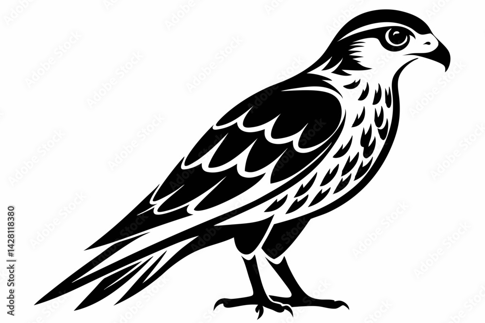 Fototapeta premium kestrel silhouette line art vector illustration with a white background