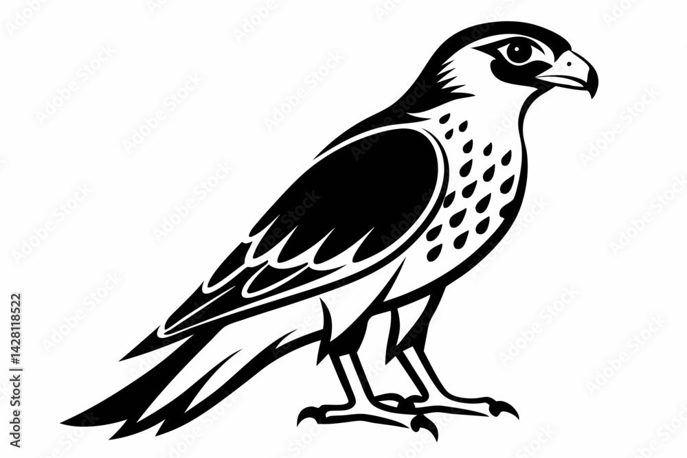 Fototapeta premium kestrel silhouette line art vector illustration with a white background