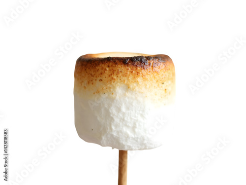 Quadro su tela Roasted Marshmallow on a Stick: A Delicious Campfire Treat transparent backgroun