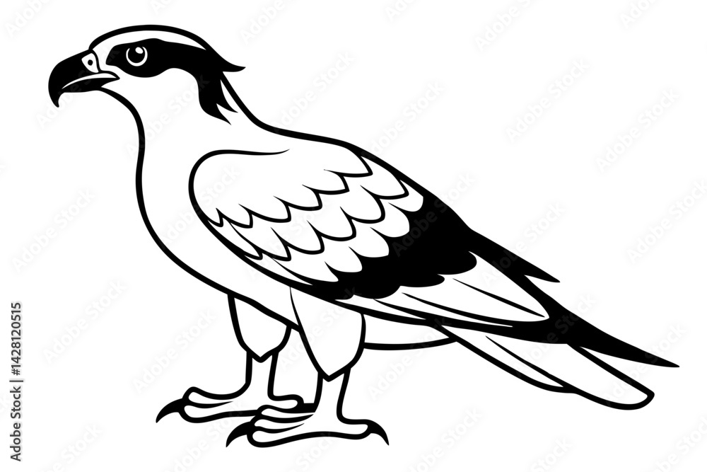 Fototapeta premium osprey silhouette line art vector illustration with a white background
