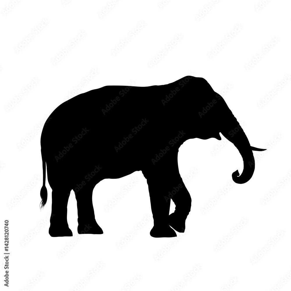 Fototapeta premium African elephant silhouette – vector illustration