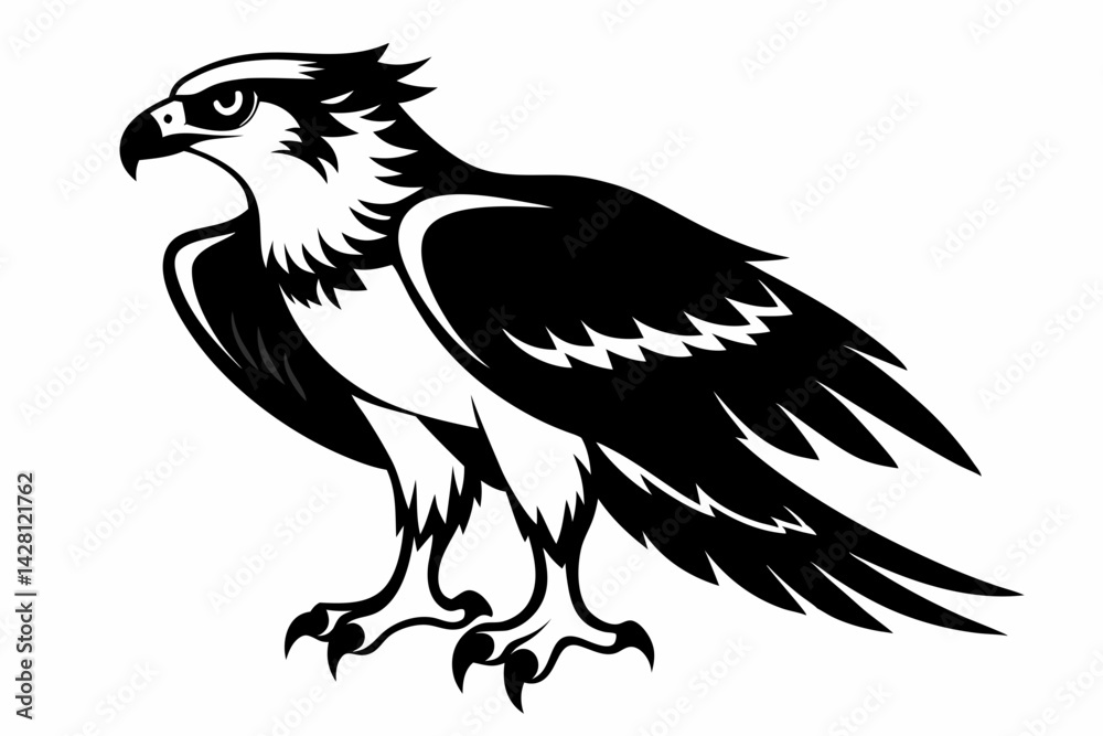 Fototapeta premium osprey silhouette line art vector illustration with a white background