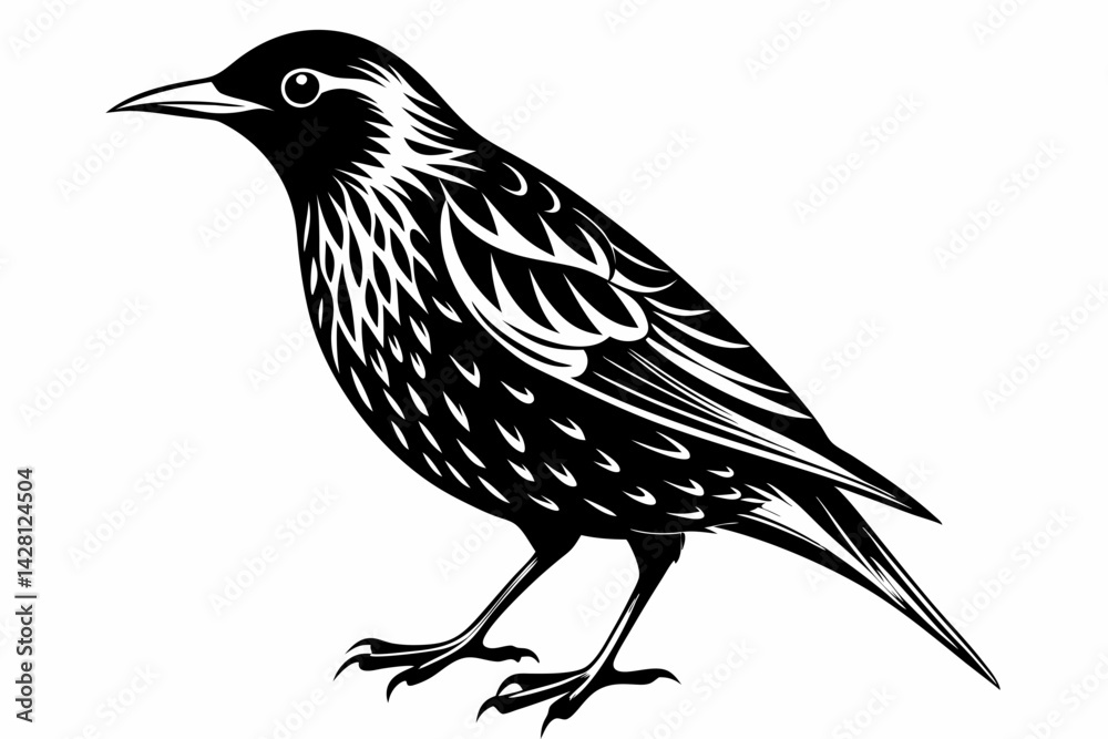 Fototapeta premium starling silhouette line art vector illustration with a white background