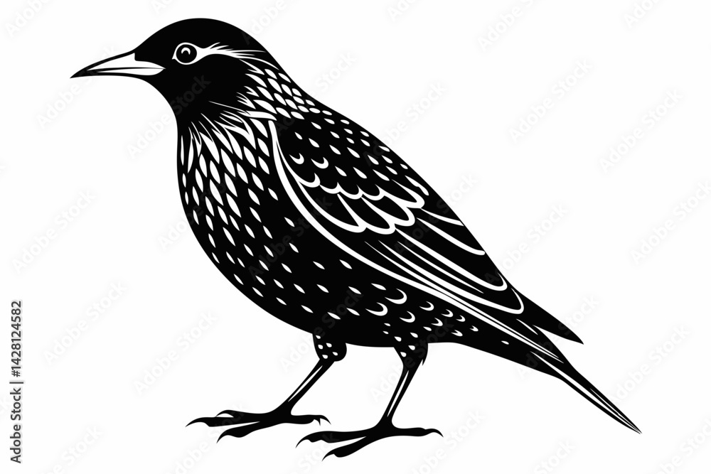 Fototapeta premium starling silhouette line art vector illustration with a white background