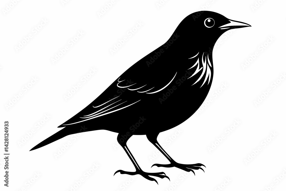 Obraz premium starling silhouette line art vector illustration with a white background