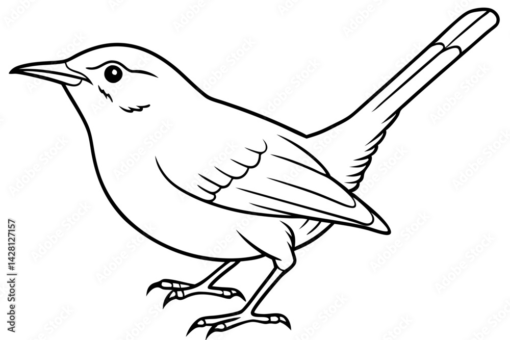 Obraz premium wren silhouette line art vector illustration with a white background