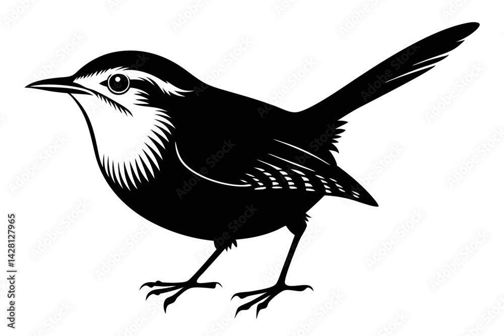 Obraz premium wren silhouette line art vector illustration with a white background