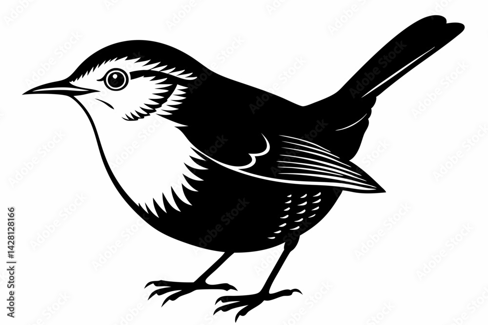 Obraz premium wren silhouette line art vector illustration with a white background