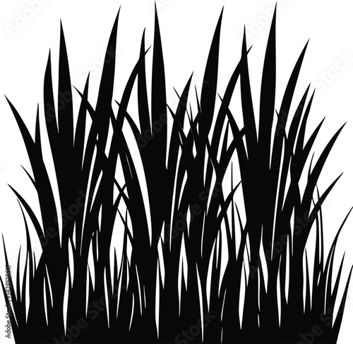Grass Silhouette in Black | Natural Ground Cover Vector for Landscape, Garden & Craft Design