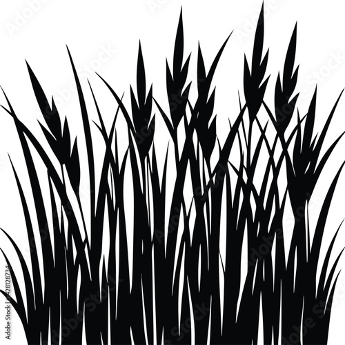 Grass Silhouette in Black | Natural Ground Cover Vector for Landscape, Garden & Craft Design