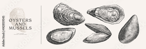 Oysters and mussels. Seafood hand-drawn in engraving style. Perfect for use in seafood branding, menus, restaurant decor, marine designs, or packaging concepts.