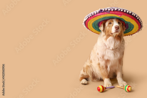 Funny dog in sombrero hat a...