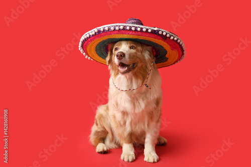 Funny dog in sombrero hat o...