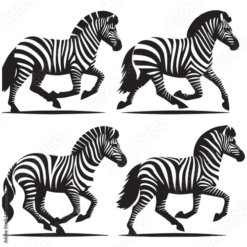 create zebra Silhouette with white background