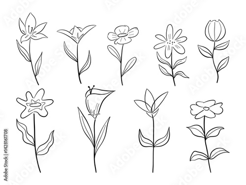 Minimalist Hand Drawn Flower Line Art. A curated collection of 9 minimalist hand drawn flower illustration featuring elegant line art, delicate petal, and graceful leaf variations for aesthetic design