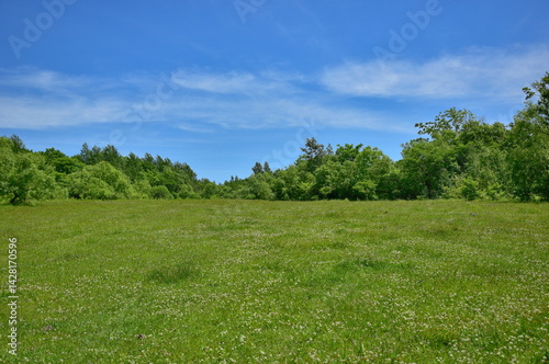 Green field and blue sky
