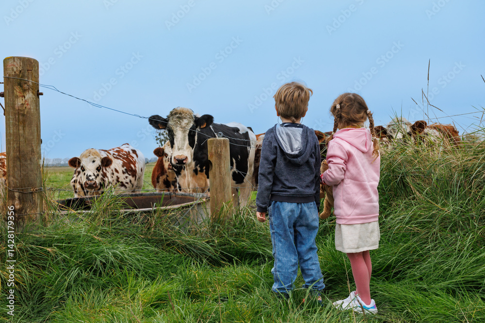 Kids stand by fence watching cows, enjoying a farm visit scene