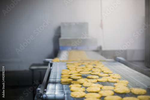 Breaded chicken production line in food factory  automated conveyor belt system in industrial food processing plant