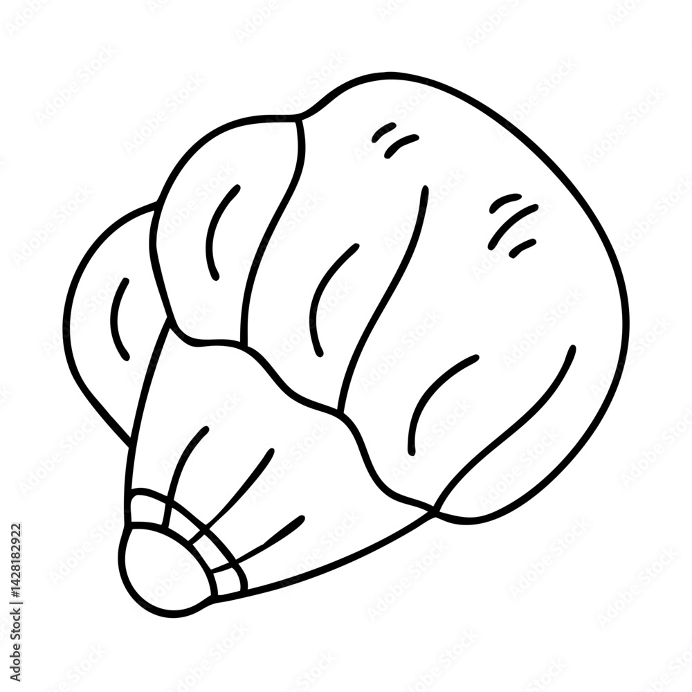 seashell icon, seashell line art - simple line art of seashell, perfect for seashell logos and icons seashell icon, seashell line art - simple line art of seashell, perfect for seashell logos and icons