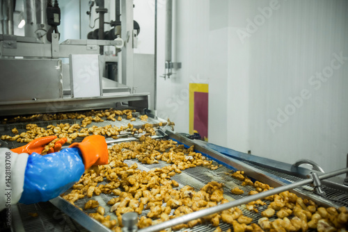 Breaded chicken production line in food factory  automated conveyor belt system in industrial food processing plant