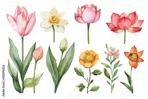 Wallpaper Mural tulip, orchid, lily, rose, water lily, marigold,,jasmine, lotus, clipart, vector illustration, isolated on white Torontodigital.ca